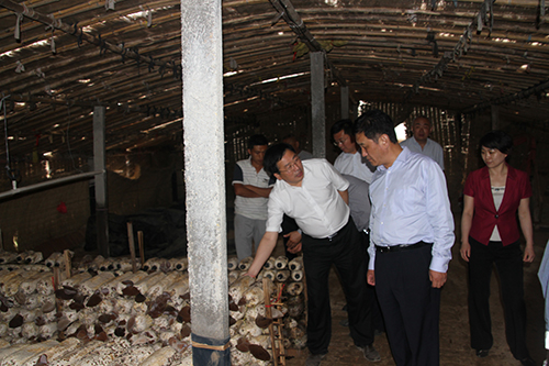 c7c7娱乐平台(中国游)登录官网入口